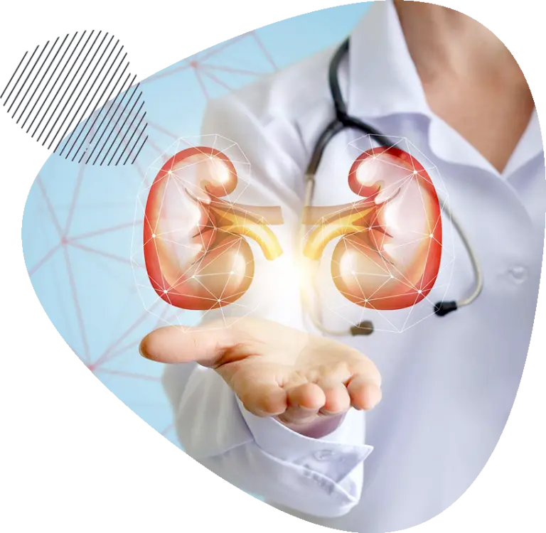 kidney transplant in jaipur