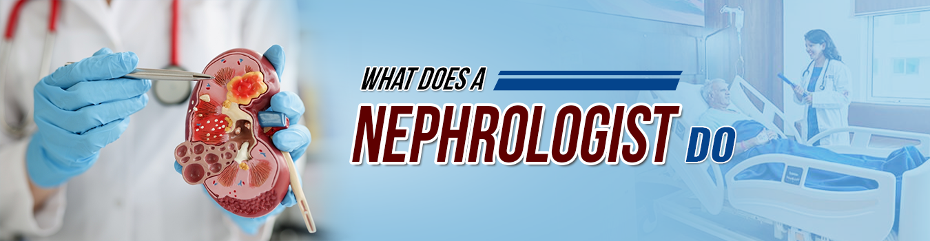 what does nephrologist do