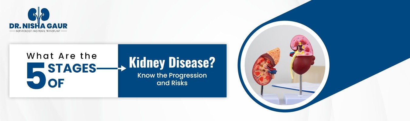 Chronic Kidney Disease