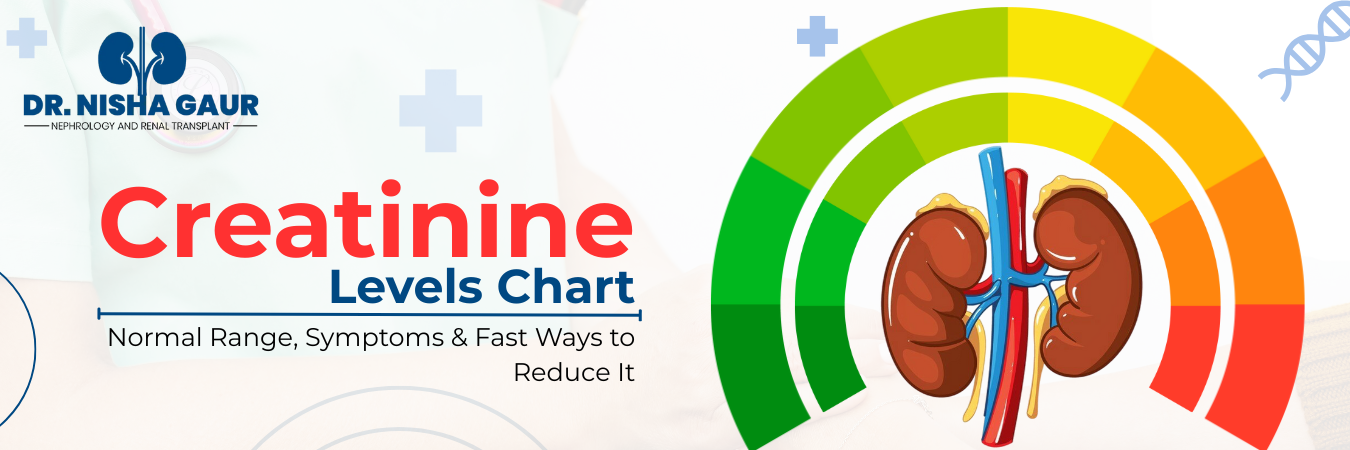 Creatinine Levels Chart | Normal Range, Symptoms & Fast Ways to Reduce