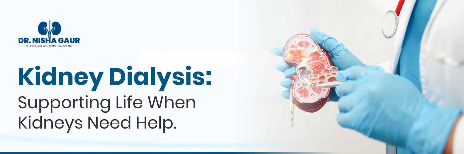 WHAT IS KIDNEY DIALYSIS